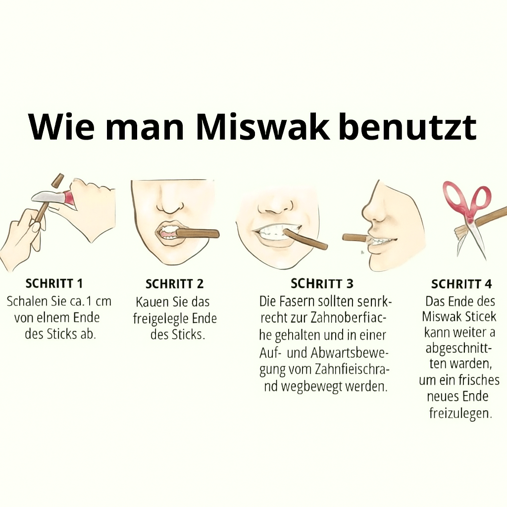 Miswak Zahnbürste – Natürlich, antibakteriell & plastikfrei - Bamboria