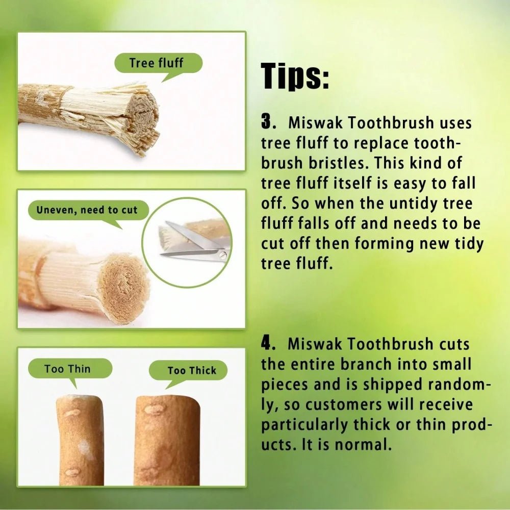 Miswak Zahnbürste – Natürlich, antibakteriell & plastikfrei - Bamboria
