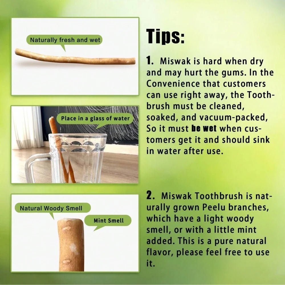 Miswak Zahnbürste – Natürlich, antibakteriell & plastikfrei - Bamboria